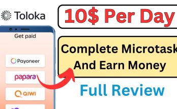 Toloka Earning App